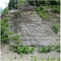 Reedsville-Martinsburg Outcrop