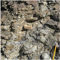 Paleoseismites in Spechty Kopf