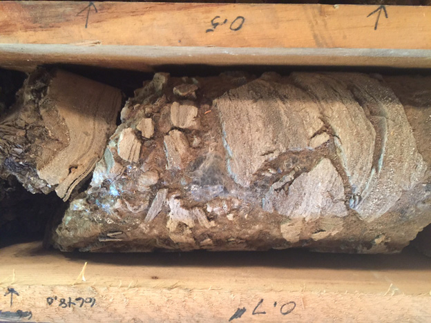 Photo of portion of Salina core from Marshall County, West Virginia